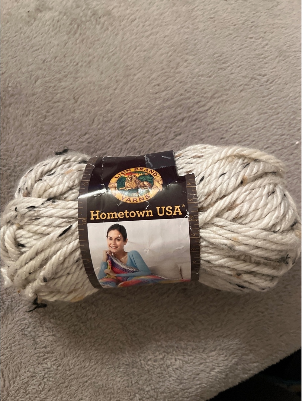Lion Brand Hometown USA Super Bulky Yarn 4 oz 64 yd Cream with Black Flecks